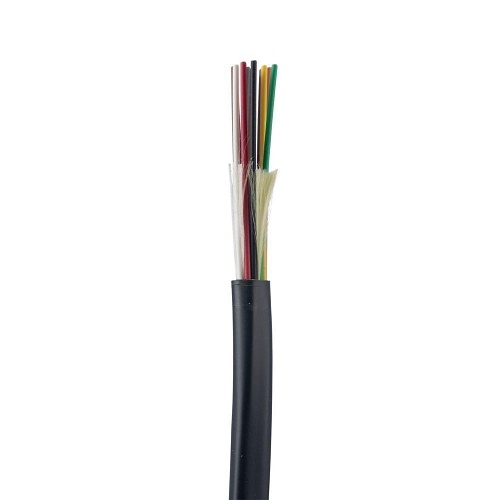 Image of P9-FOKRX24