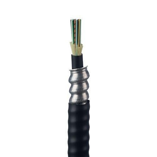 Image of P9-FOLRZ12