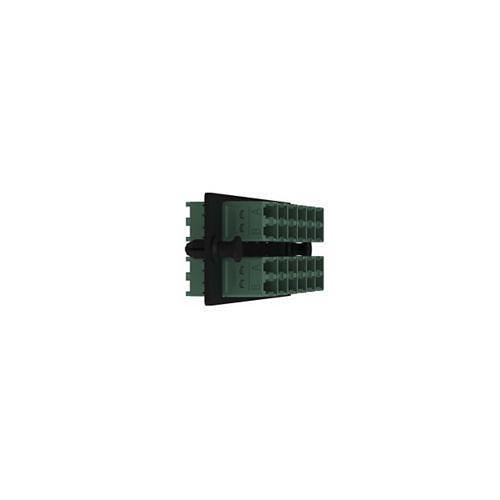 Image of P9-CGRGRDLC1