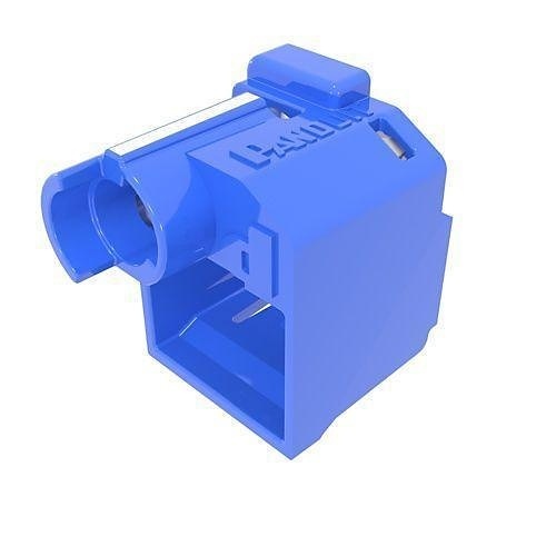 Image of P9-DCPLREBUC