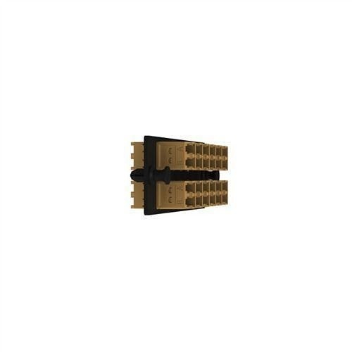 Image of P9-EORORDLZ
