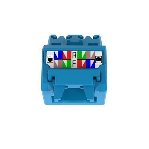 Image of P9-JUDCAPBUX