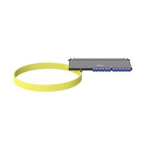 Image of P9-LNNSNF033