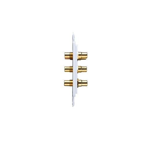 Image of W1-WOMPAUDWH
