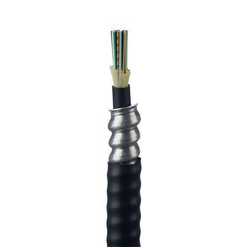 Image of P9-FOLRZ06