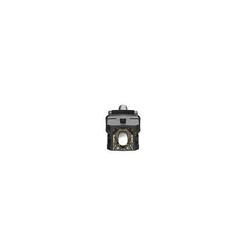 Image of P9-FSC2MC5BL