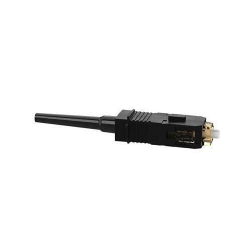 Image of P9-FSC2MC5BL