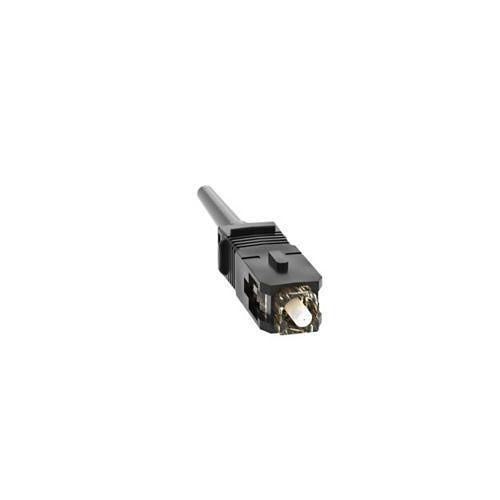 Image of P9-FSC2MC5BL
