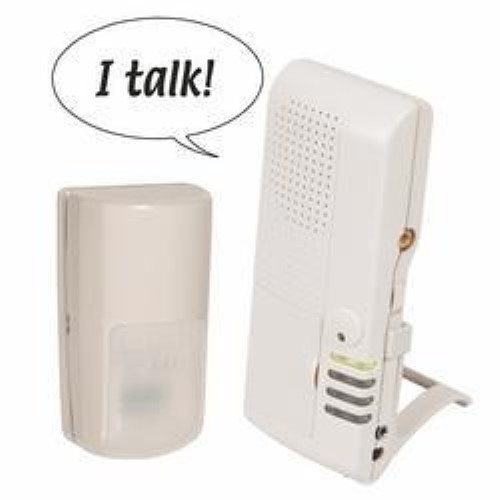 Image of SF-STIV34760