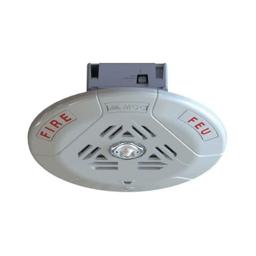 Image of 5T-SPPS10425