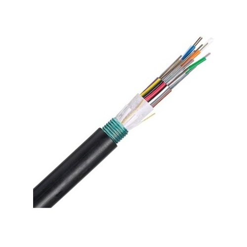 Image of P9-FOWNZ06