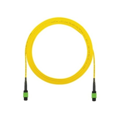 Image of P9-N5NANM015