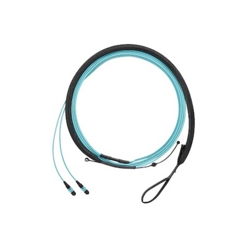 Image of P9-NQSSNFP27