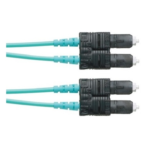 Image of P9-NSNSNM149