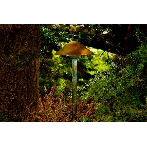 Image of PX-CALEDTACU