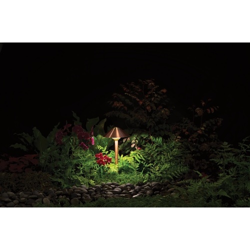 Image of PX-CALEDTACU