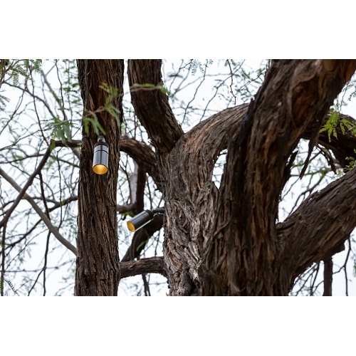 Image of PX-JBZD3LDBZ