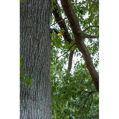 Image of PX-MDLED2LFB