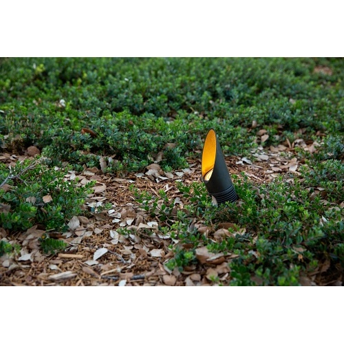 Image of PX-NPZDCLSBZ