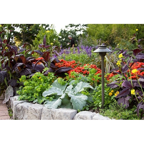 Image of PX-PLNL18RBZ