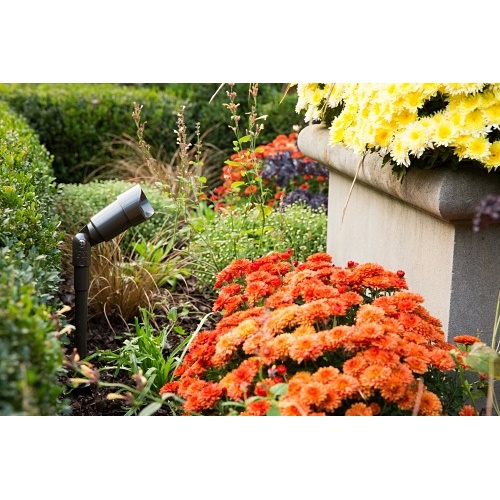 Image of PX-RSLEDFLBZ