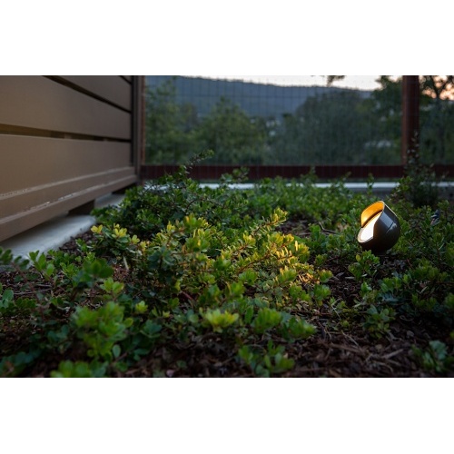 Image of PX-WSLED5WBZ