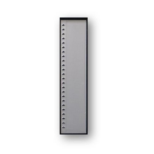 Image of ED-EVOLVE24L