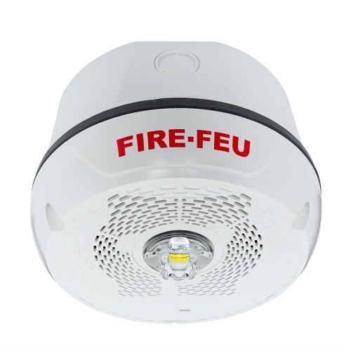 Image of BK-SPSCWLEDB