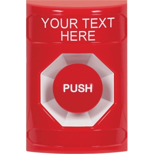 Image of SF-2004ZAEN