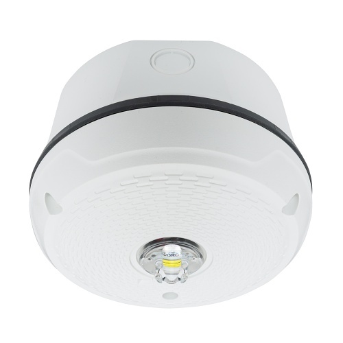 Image of FL-SCWKLEDP