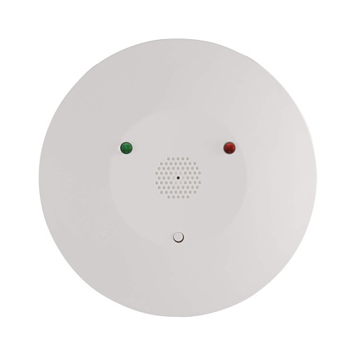 Image of GG-2GIGGB100345