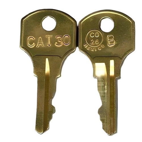 BTSTHECITYARIRANGSEOULPARADISECITY ルームキー RSG CAT30 Key for Pull Station, 2-Pack