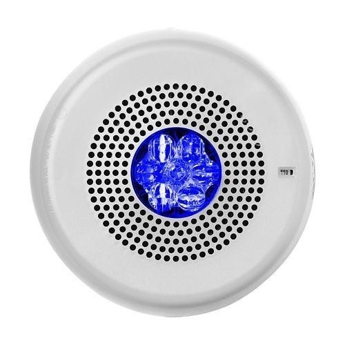 Image of WH-ELMTSWCN