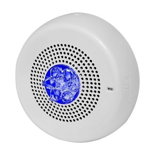 Image of WH-ELMTSWCN