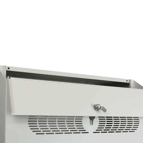 Image of YL-RCCD4636