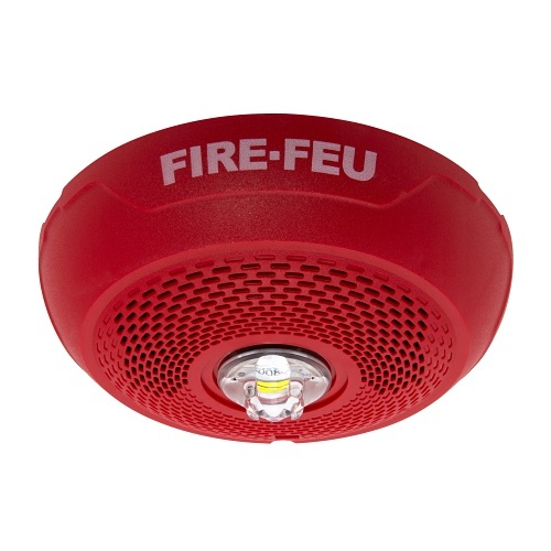 Image of FL-SPSCRLEDB