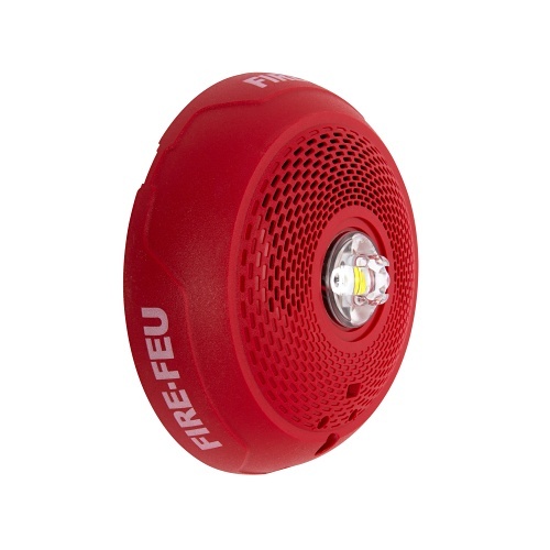 Image of FL-SPSCRLEDB