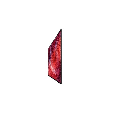Sony Pro FW-55BZ40P 55