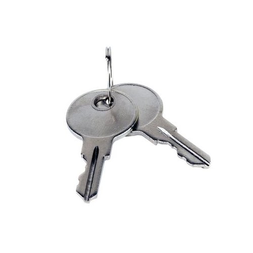 LiftMaster K80-50295 Gate Operator Key for RSW12V and RSW12VH Residential Swing Gate Operators