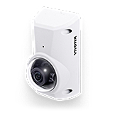 IP Cameras