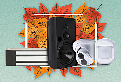 November Flash Sale: Save Up to 55%